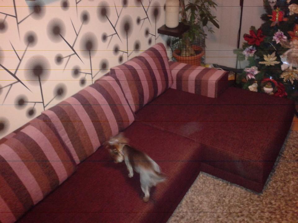 coltar canapea inainte de retapitare